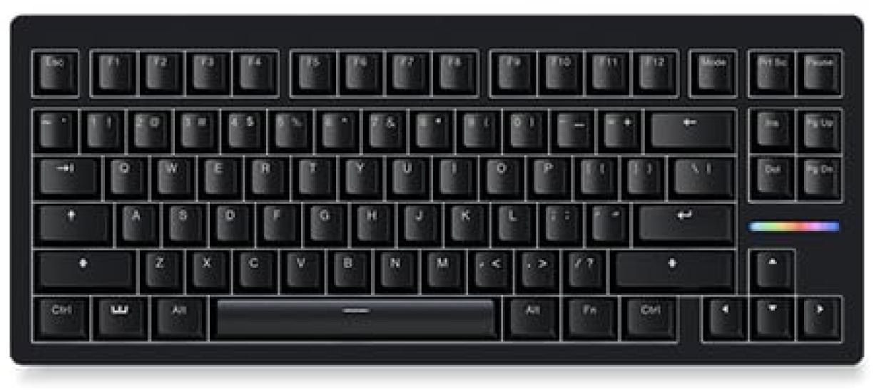 

Wooting 80HE US Layout Lekker V2 switches Rapid Trigger Rappy Snappy 8kHz Polling