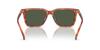 Coach Sunglasses HC8385U CL910 CARAMEL TORTOISE 54