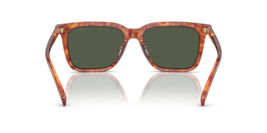 Coach Sunglasses HC8385U CL910 CARAMEL TORTOISE 54
