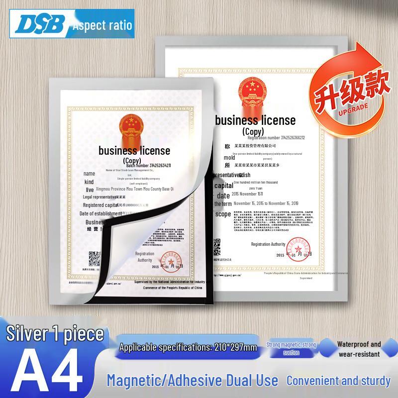 DSB Magnetic Document Display Frame