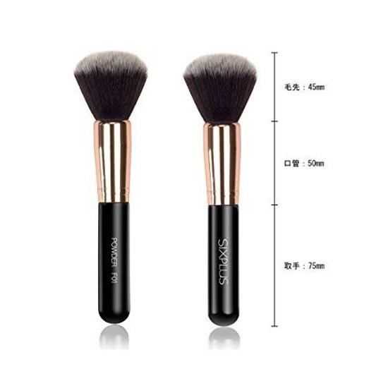 Six Plus Shikkusu Purasu Noble Gold Powder Brush F01 (Black)