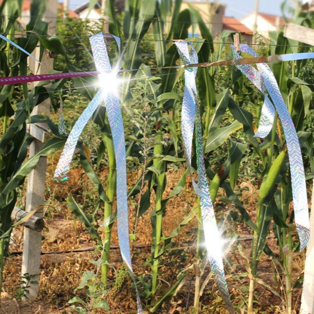 50/80M Anti-Vogel-Abwehr Blinkendes Reflexband Fuchs Tauben Erschrecken Band Gerät Doppelseitige Vogel Repeller Schädlingsbekämpfung