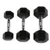Tieren Cast Iron Dumbbell Set