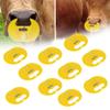 10PCS ABS Cow Nose Thorn Calf Weaner Sucking Preventer Farm Animal Livestock Feeding Equipment