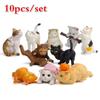 10 Pcs Cat Colorful Creative Landscaping Doll Miniature Garden Miniatures Figurine Home Decor