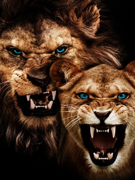 5d Diamant Malerei voller Bohrer Tiger Löwe Quadrat/Runde Stickerei Kreuzstich Tiere Mosaik Kristall Home Decor