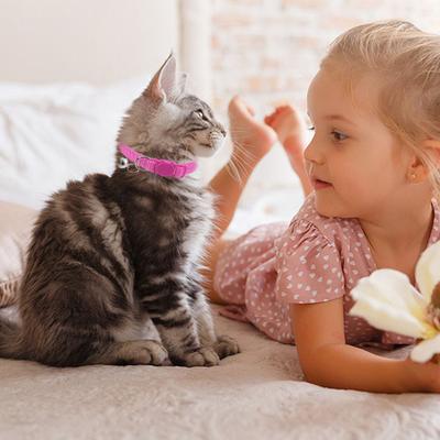 Çanlı Kedi Tasması Yumuşak Kedi Güvenlik Tasması Hızlı Çıkarma Tokalı Ayarlanabilir Naylon Tasma Kediler Yavru Köpekler İçin