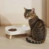 Double Pet Bowl No Spill Food Water Feeder with Stand Neck Support for Cats Dogs Anti Knock Anti Slip Elevated Design