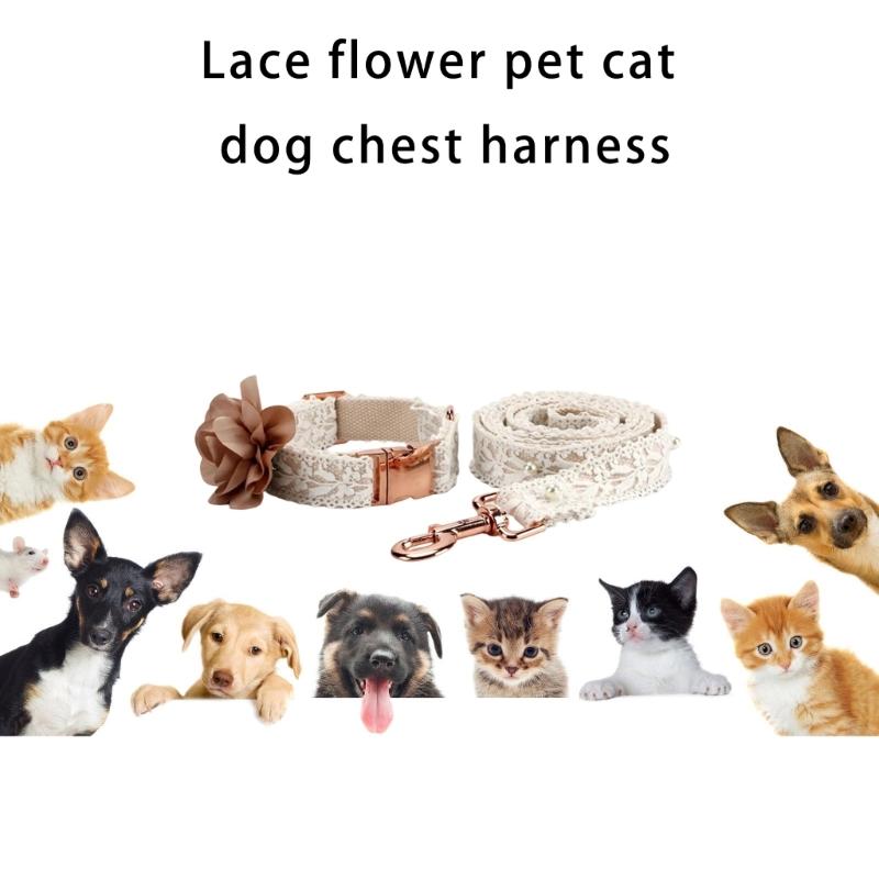 Lacci alla Moda Pettorine per Animali Leggere Pettorine di Sicurezza Pettorine Traspiranti per Passeggiate e Raduni di Animali