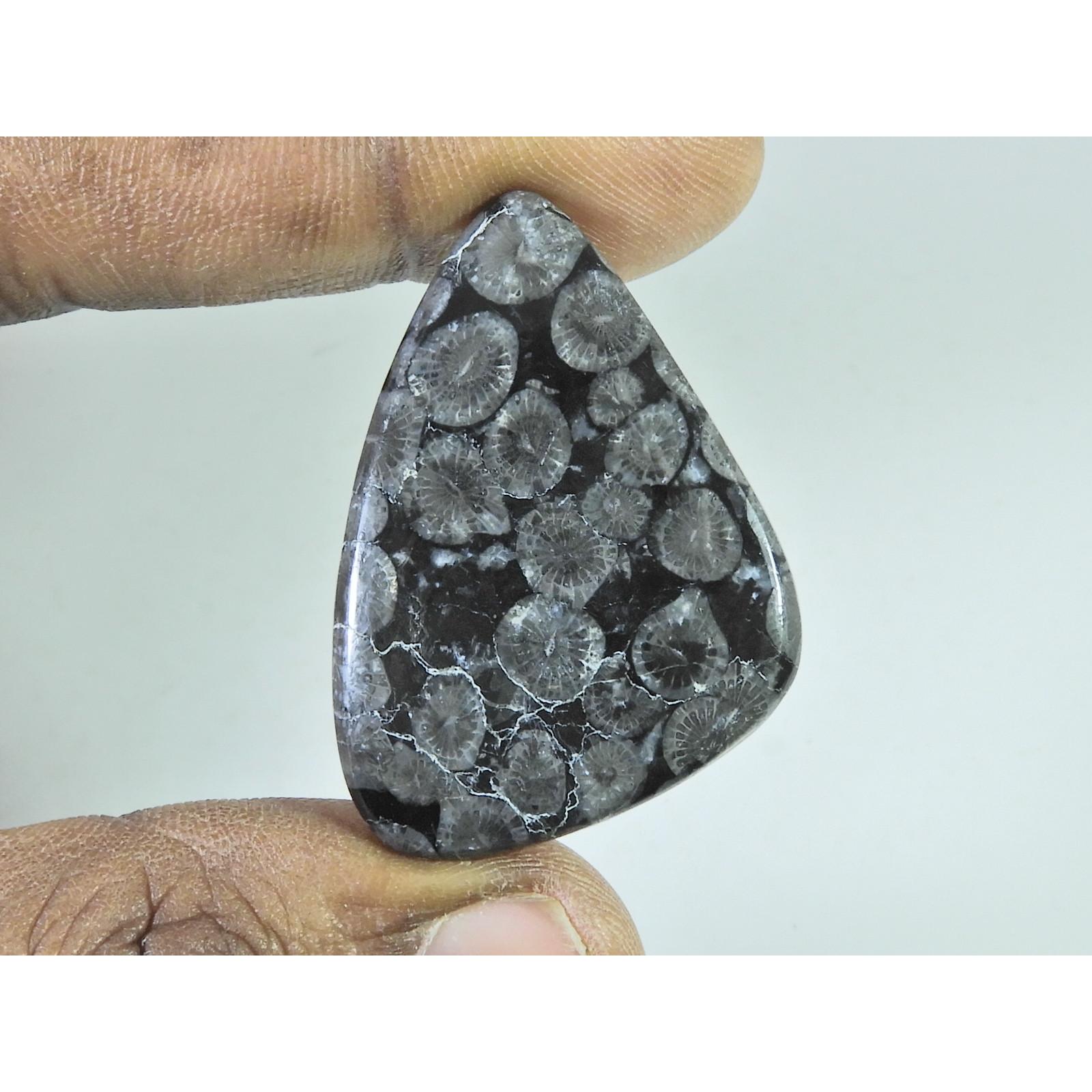 52Cts. Natural Black Fossil Coral Fancy Cabochon Loose Gemstone 30X38X04 MM B-334