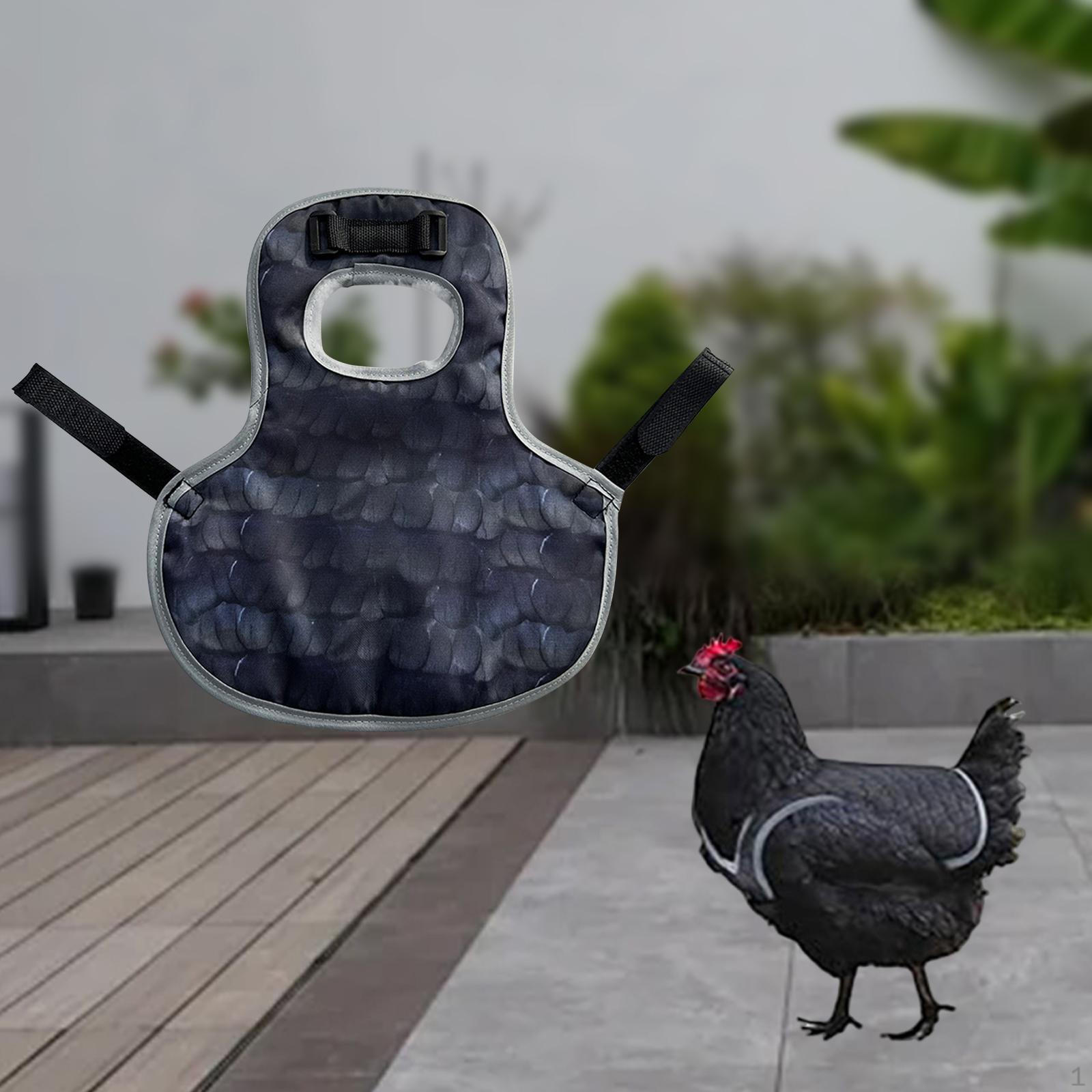 

Регулируемое куриное седло, Снаряжение для птицеводческих аксессуаров