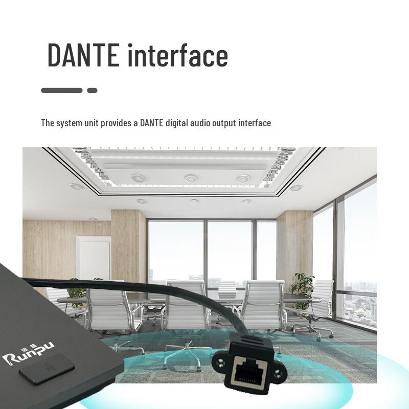 Runpu RP-Dante30E Professional Dante Gooseneck Conference Microphone (CN version)