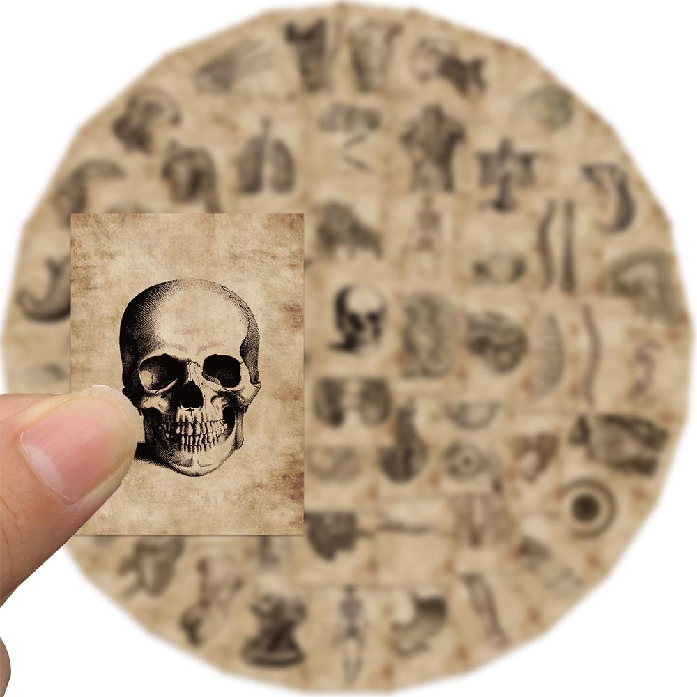 10/56 Pezzi Adesivi Creativi di Anatomia e Fisiologia Adesivi Graffiti dello Scheletro Umano per Fai da Te Valigia Laptop Adesivi per Bicicletta