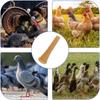 50Pcs Large Elasticity Chicken Plucker Fingers Soft Texture Feather Picking Fingers  Geese