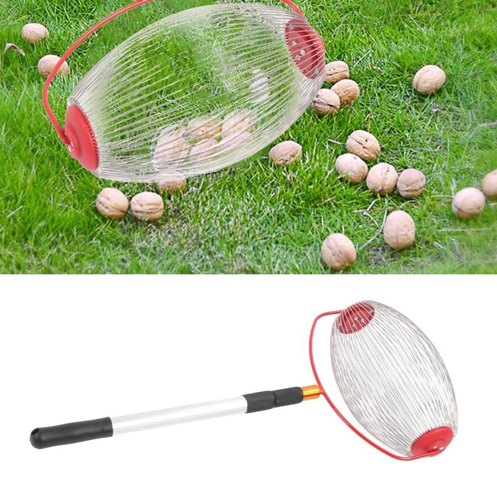 Telescopic Rod Rolling Nut Gatherer Wire Cage Pecan Picker Roller Hickory Nuts