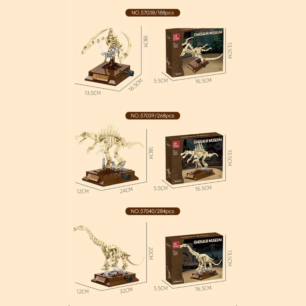 Bâtiment Squelette Tyrannosaure Rex Jouet Éducatif Ensemble de Blocs de Construction Affichage Fossile