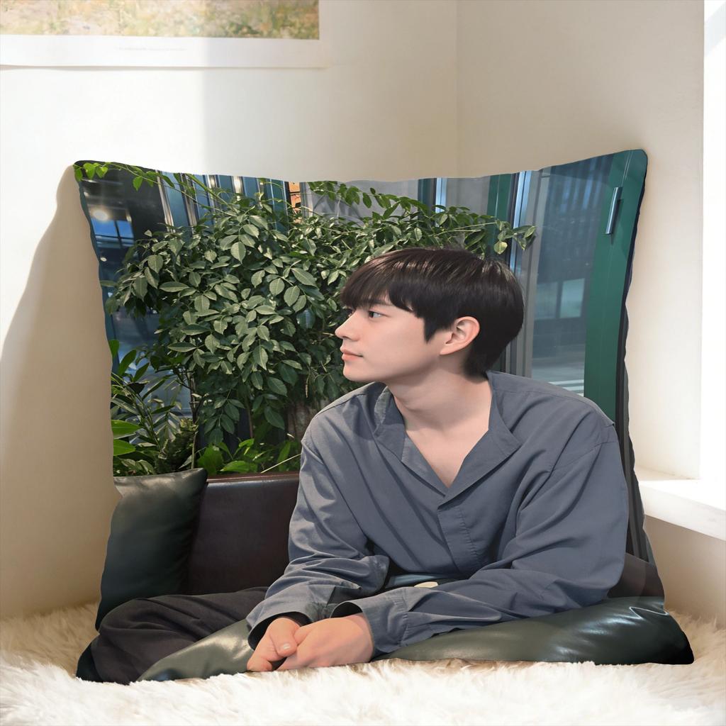 Y-Young-dae Kim Pillow Case Design Pillow Cover For Sofa Bedroom Home Decor Kawaii Pillowcases