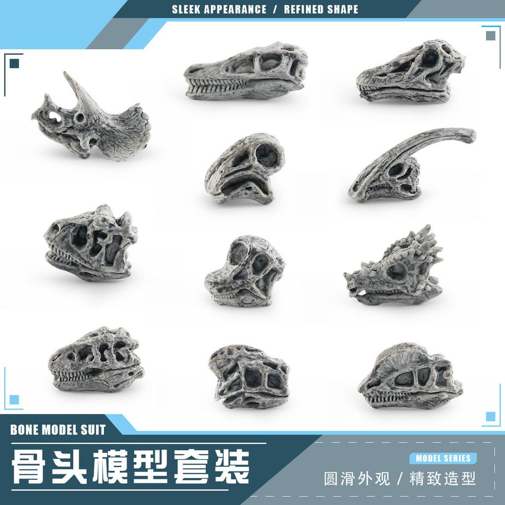 Realistic Jurassic Dinosaur Skull Model Toy For Kids Educational Archaeology Fun