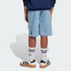 Adidas Originals X Minecraft Collaboration Striped Loose Denim Sports Shorts Men shorts Clear-Blue JZ9938