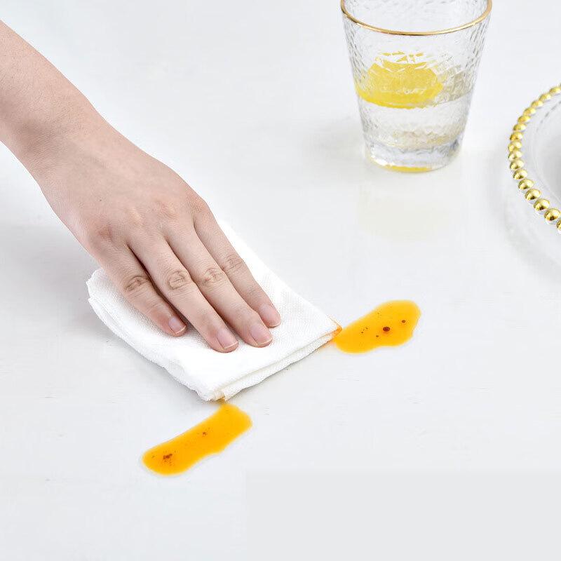 Outdoor PVC Transparent Picnic Mat