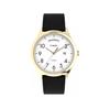 Часы Timex TW2W68500
