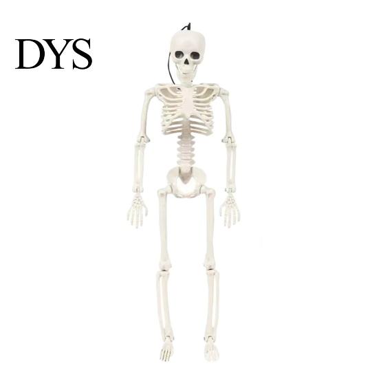 Detailed Skull And Bone Structures Realistic Halloween Skeleton Figure, 40cm Posable Joints Hanging Decoration, Weather Resistant Ornaments