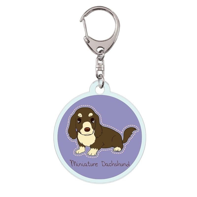 

clear acrylic key ring dachshund