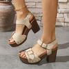 Women's Thick Heeled Sandals Retro Metal Buckle High Heels Sandals Summer New Rome Sandals for Women Leisure Platform Sandalias