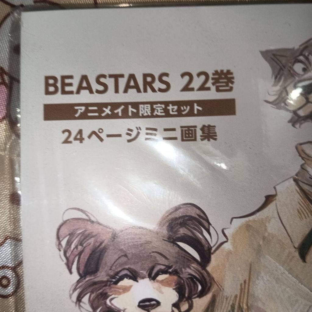 [USED] BEASTARS Volume 22 Animate Limited Edition Mini Art Book