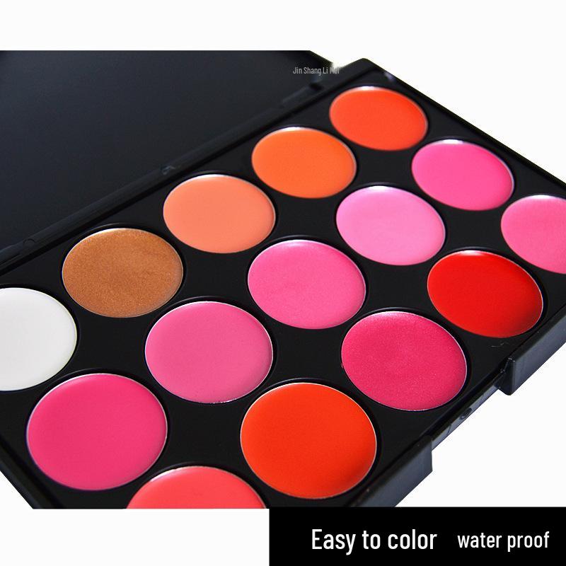 Professional 15-Color Lipstick and Lip Gloss Palette Set - Includes Big Red and Nude Shades for Makeup Artists by QYMJS