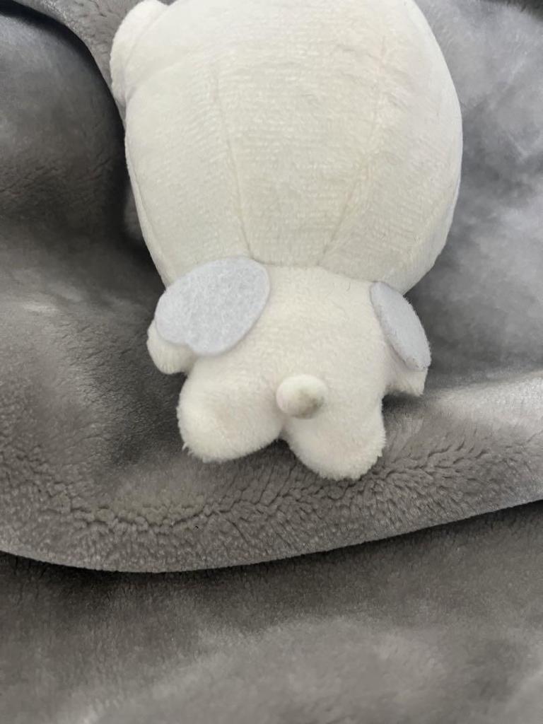 [USED] ENHYPEN Sunghoon Plush Toy