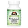 Source Naturals Vegan True Methylcobalamin Vitamin B-12 Cherry Flavor 1mg Lozenges 60 Tablets