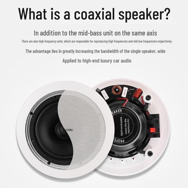 SANSUI T2 5.1 Home Theater Ceiling Speaker System CN Plug (adapter Included)