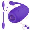 Remote Clit Vibrator Vibrating Vagina Stimulator Clitoral G-Spot Massager Women Sex Toys