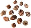 Natural Mini Decorative Pine Cones 25G