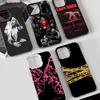 Singer L-Lady Gaga-a Phone Case for iPhone 17 17Air 16 15 14 13 12 11 Pro Max Plus Colorful Silver