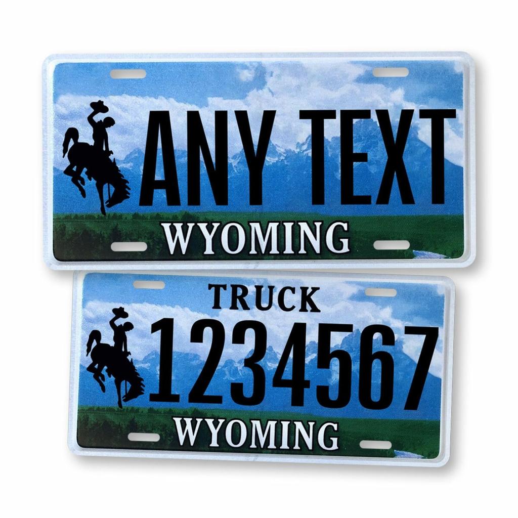 Personalized Wyoming Metal Decorative Tag Ideal for Home Decor (Only Decoration)