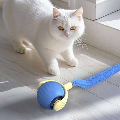 Katzen – Katzenspielzeug