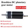 Motor cu angrenaj DC fără perii 12v24v viteză reglabilă planetar celebru 4260 cuplu mare motor miniatural