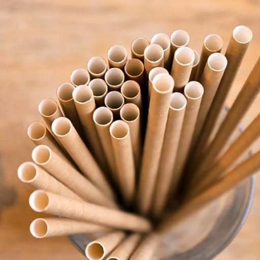 Kraft Paper Straws, Eco-Friendly, 8, .