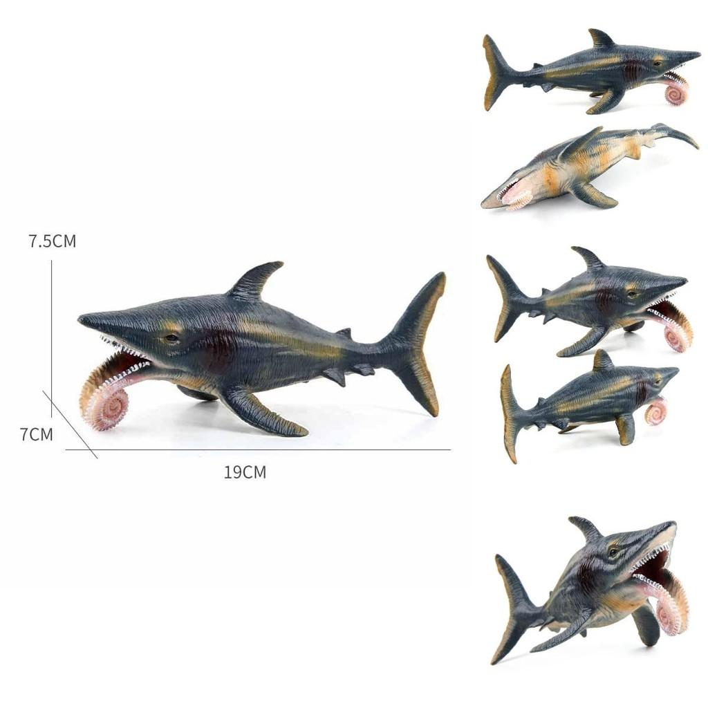 Modello di Dinosauro Marino Helicoprion Per Bambini Giocattolo Realistico in PVC Educativo
