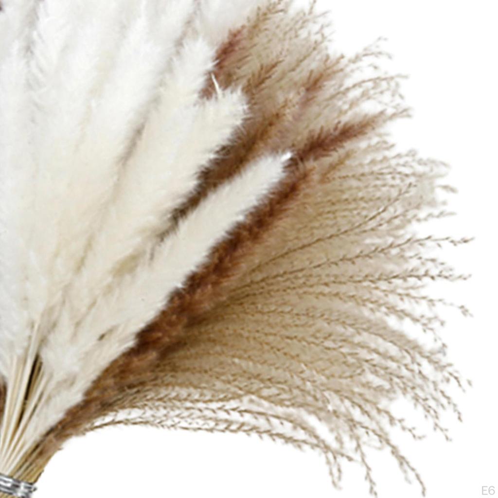 Floral Bouquet Reed Vase Dried Flower Photography Living Room Arrangement