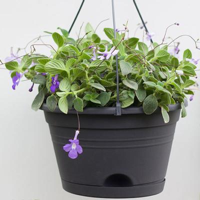Vaso per Piante Resistente alle Cadute Ecologico Resina Nero Vaso Fioriera da Appendere per Esterno