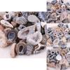 Stunning 10pcs Geodes Oco Agate Natural Crystals With Unique Quartz Patterns For Home Decor