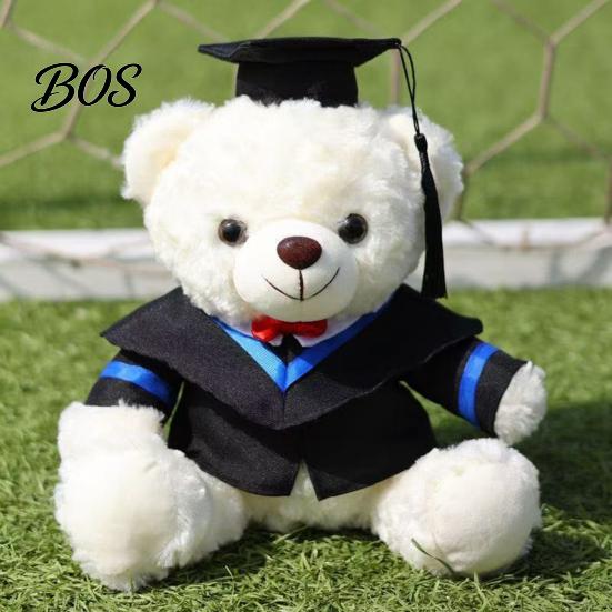 Luxury Gift Packaging Bear Personalized Graduation Gifts 2026 for Her, Cute Teddy with Embroidered Gown Award And Cap, Soft Plush Mascot College High