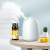 Natural Herb Essential Oils for Aroma Diffuser Air Humidifier Home Water-soluble 10ml Air Freshener Scents Fragrance Oil Perfume