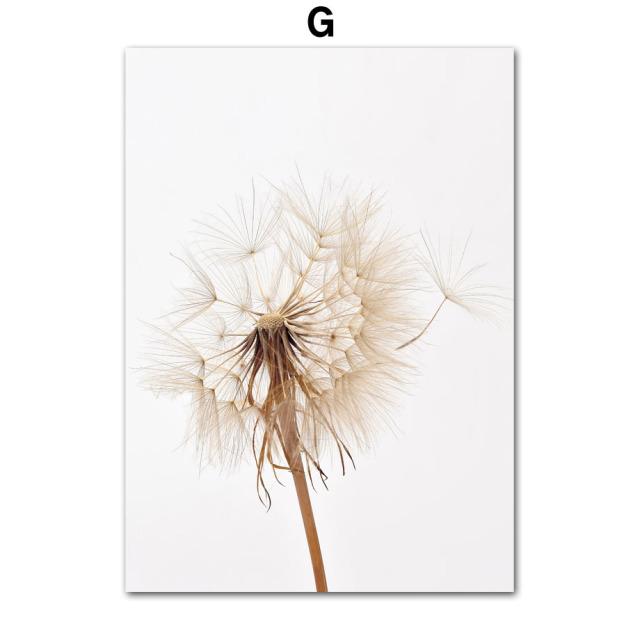 Liść palmowy mniszek lekarski beżowy trawa chwastów trzcina pszenica obraz ścienny na płótnie plakaty i druki zdjęcia ścienny do wystrój salonu