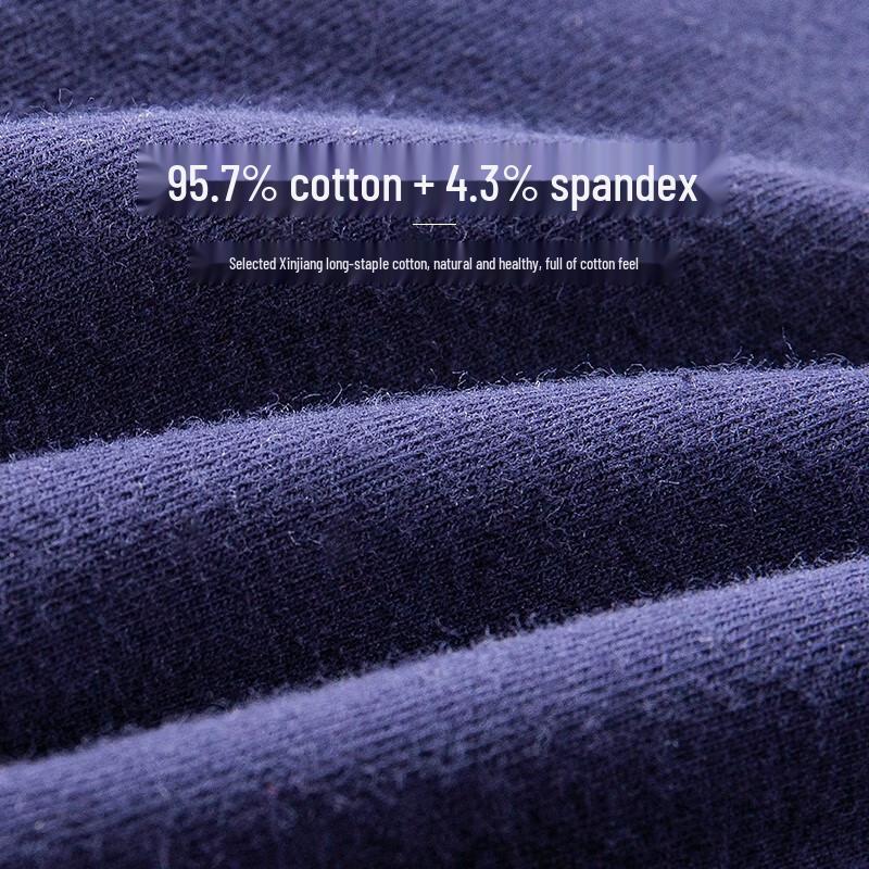 Langsha Men's 7A Antibacterial Cotton Briefs (4-Pack)