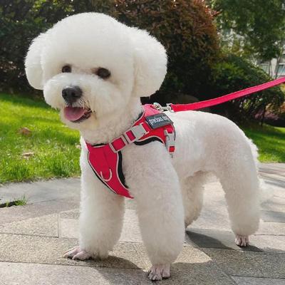 Reflective Anti-Lost Dog Harness and Leash Set for Small Pets