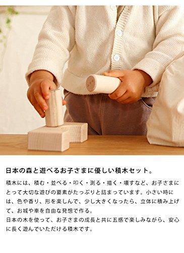 Ekby Byggklossar Set tyg Tillverkad i Pedagogisk Trä 1 År (med väska), Trä, Japan, Leksak, Barn, Leksak,